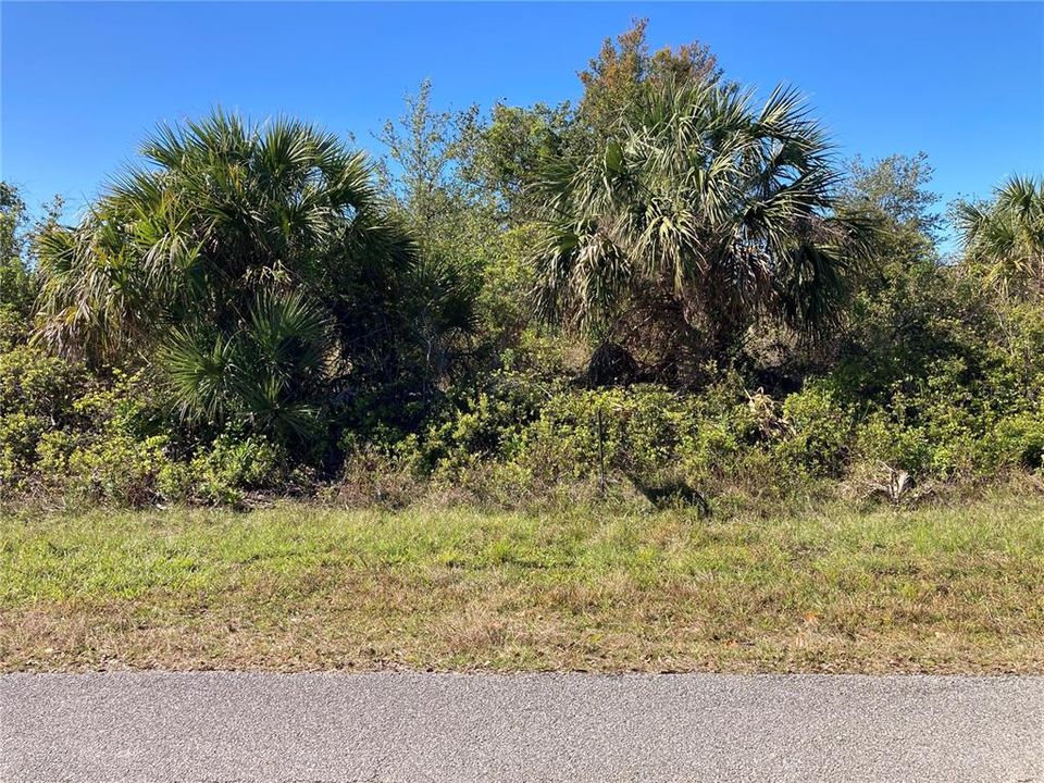 For Sale: $29,500 (0.23 acres)