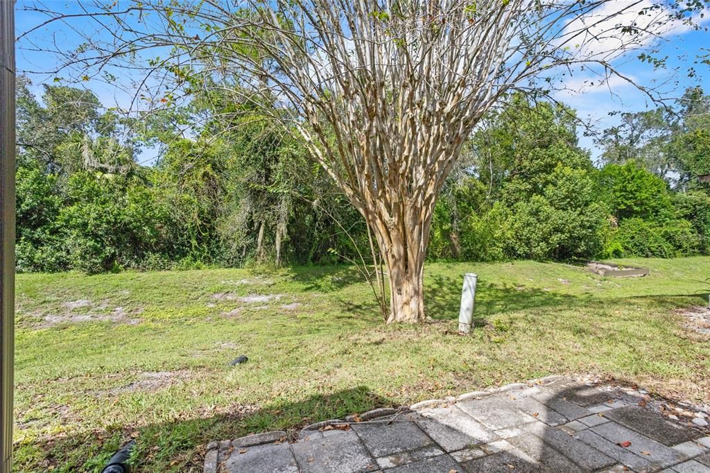 Под контрактом: $339,000 (3 спален, 2 ванн, 1384 Квадратных фут)