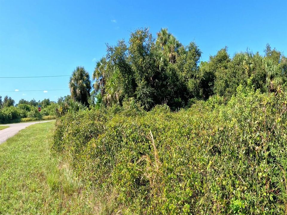 合同活跃: $15,500 (0.30 acres)