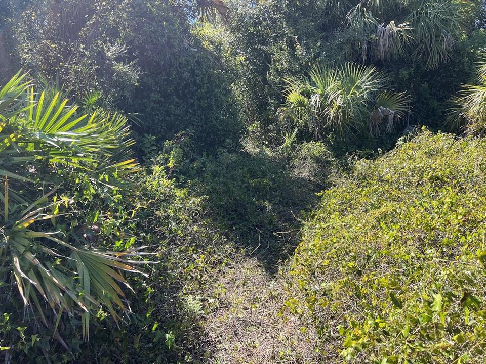 合同活跃: $15,500 (0.30 acres)