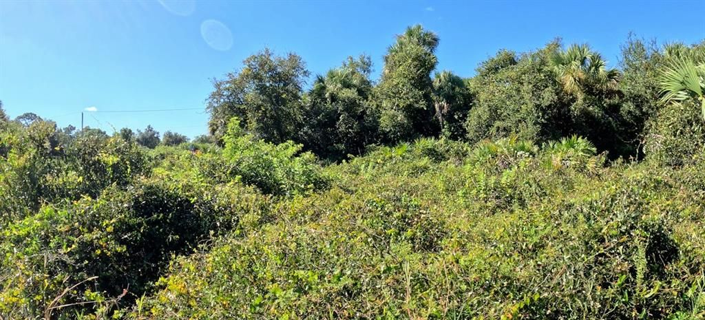 合同活跃: $15,500 (0.30 acres)