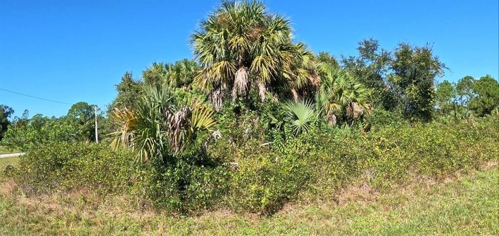 合同活跃: $15,500 (0.30 acres)