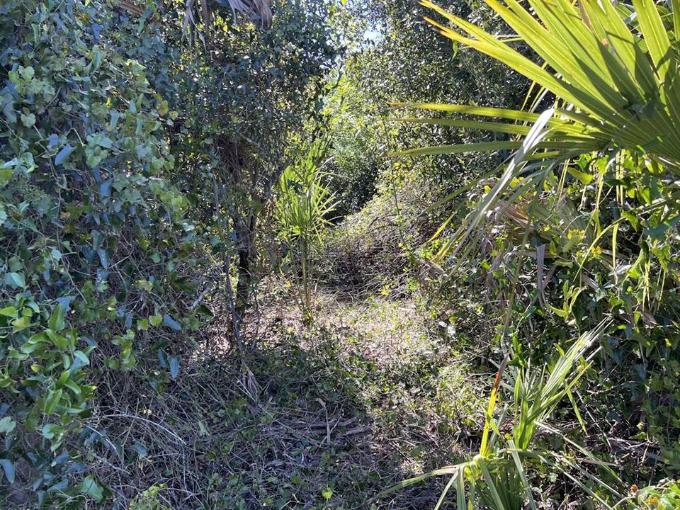 合同活跃: $15,500 (0.30 acres)