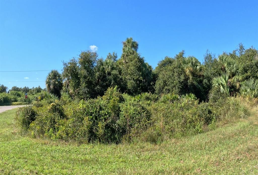 合同活跃: $15,500 (0.30 acres)