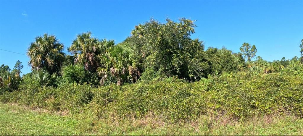 合同活跃: $15,500 (0.30 acres)