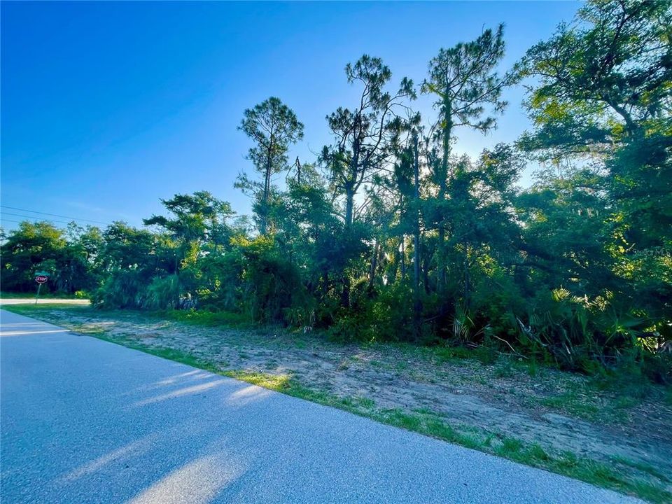 For Sale: $45,000 (0.46 acres)