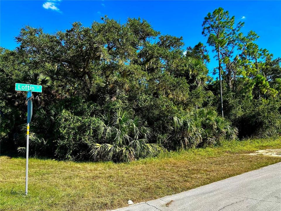 For Sale: $45,000 (0.46 acres)