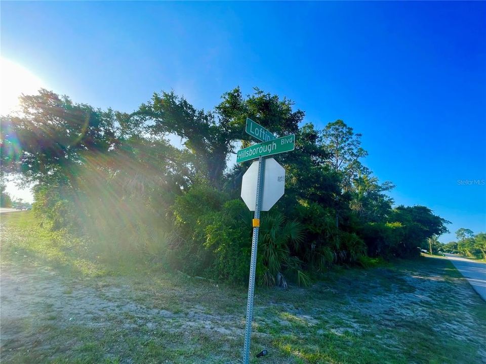 For Sale: $45,000 (0.46 acres)