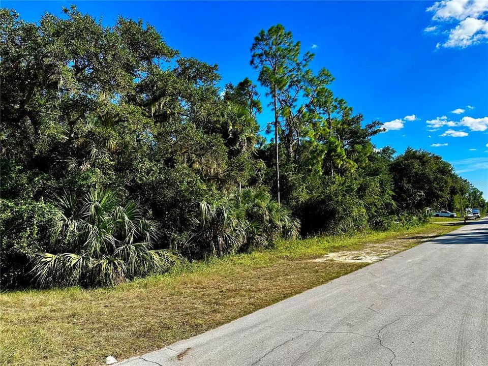 For Sale: $45,000 (0.46 acres)