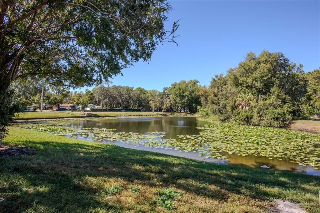 待售: $225,000 (2 贝兹, 2 浴室, 1184 平方英尺)