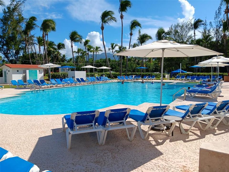 For Rent: $3,500 (2 beds, 2 baths, 1772 Square Feet)