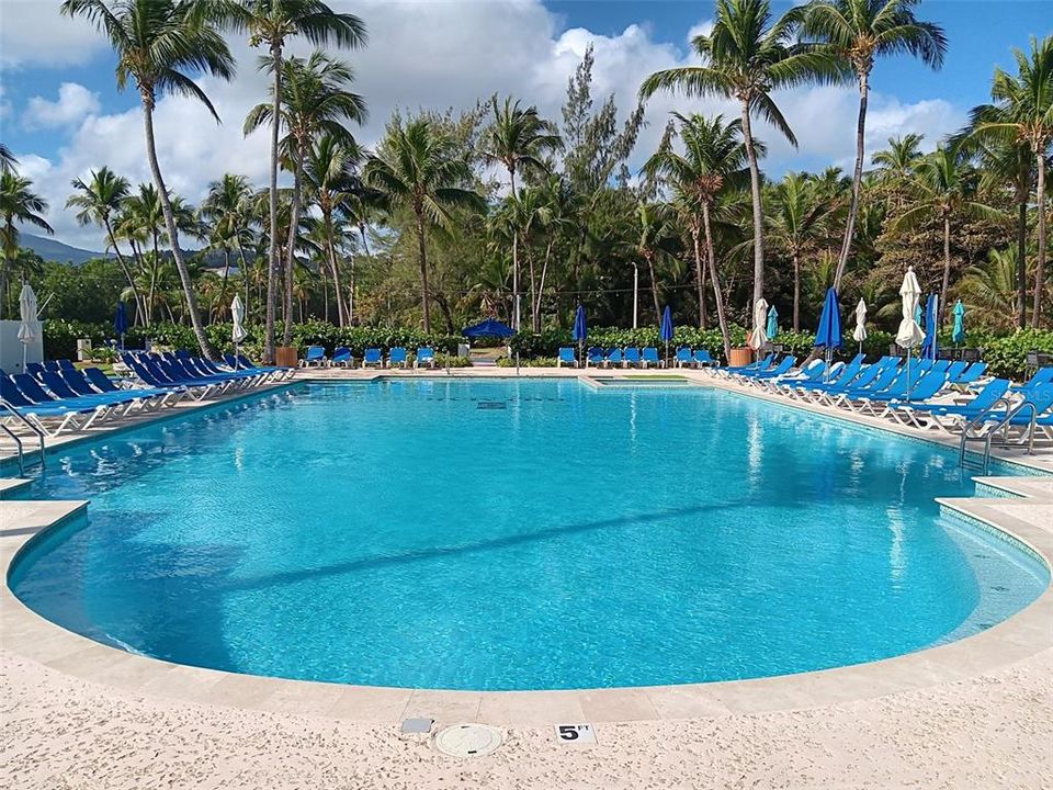 For Rent: $3,500 (2 beds, 2 baths, 1772 Square Feet)