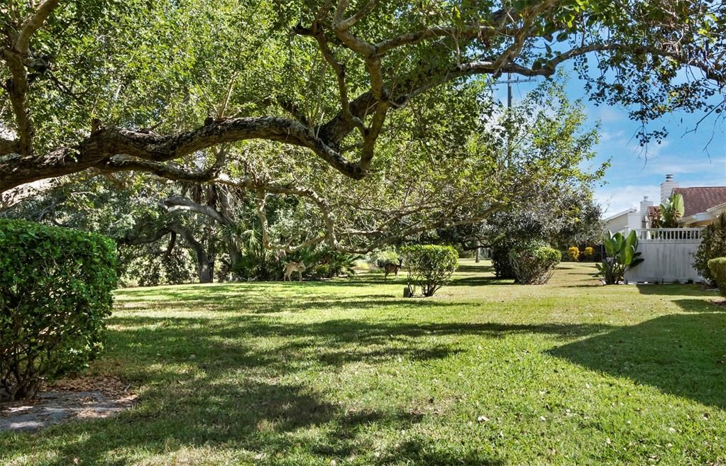 待售: $330,000 (3 贝兹, 2 浴室, 2000 平方英尺)