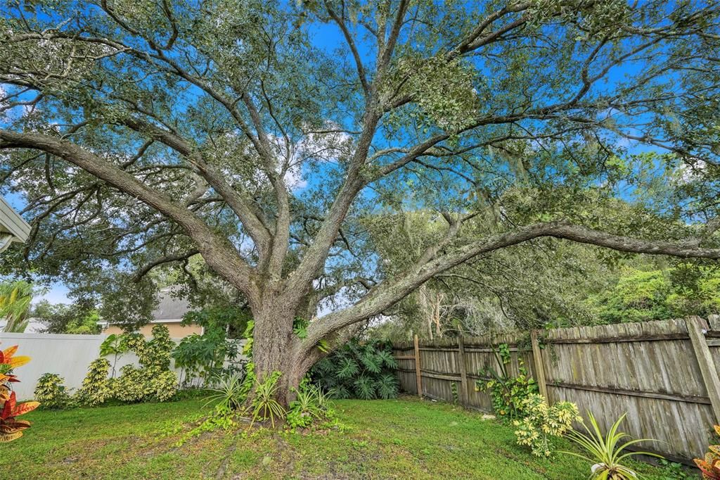 Active With Contract: $420,000 (4 beds, 2 baths, 1818 Square Feet)