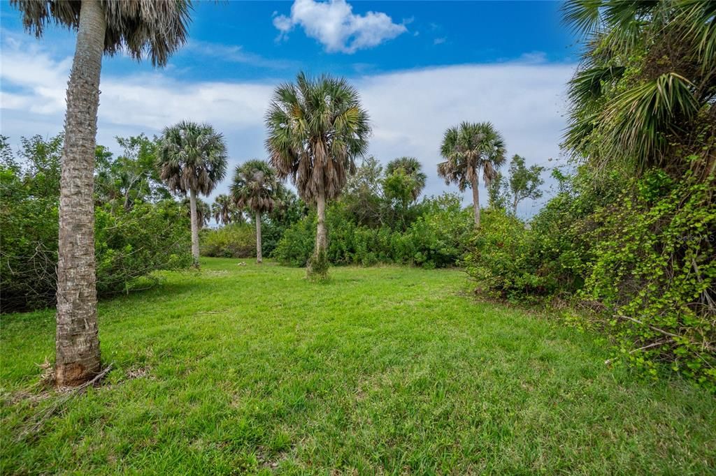 For Sale: $80,000 (0.31 acres)