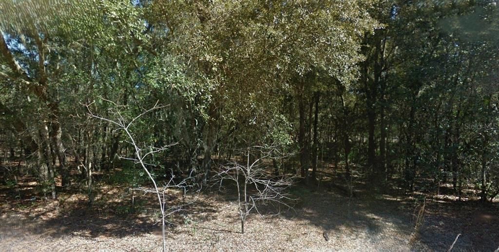 На продажу: $14,000 (0.46 acres)