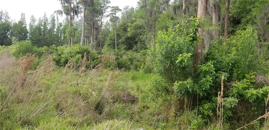 En Renta: $2,395 (3 camas, 2 baños, 1872 Pies cuadrados)