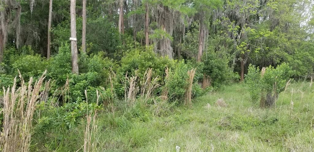 En Renta: $2,395 (3 camas, 2 baños, 1872 Pies cuadrados)