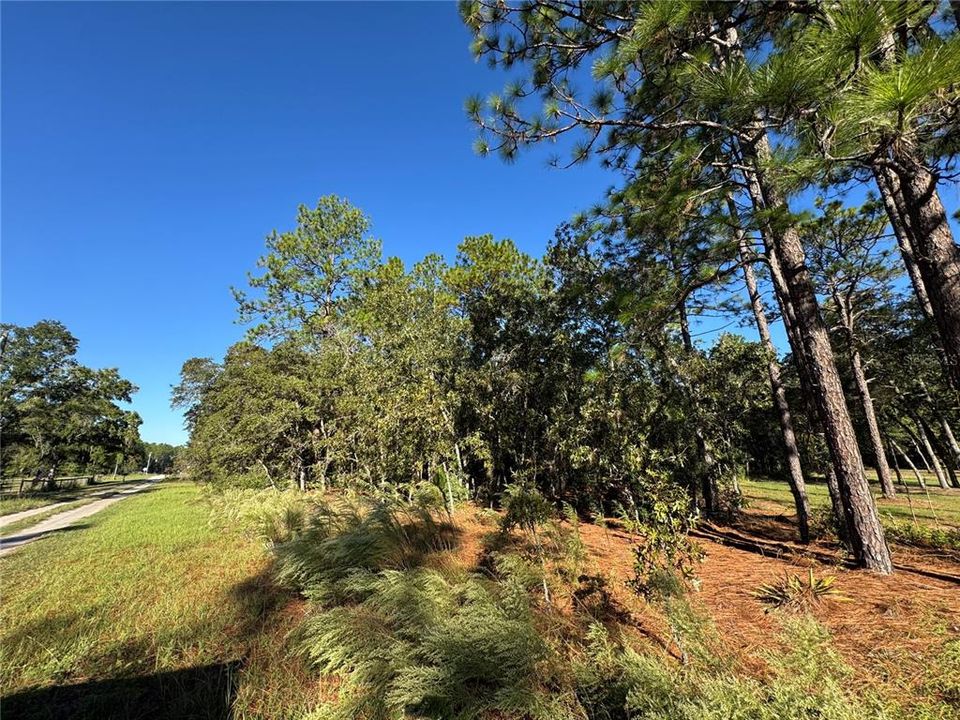 For Sale: $69,900 (1.16 acres)