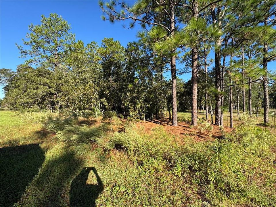 For Sale: $69,900 (1.16 acres)