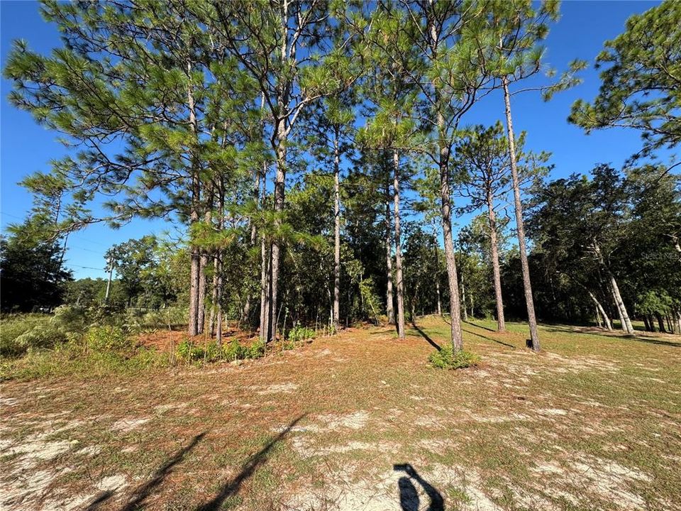 For Sale: $69,900 (1.16 acres)