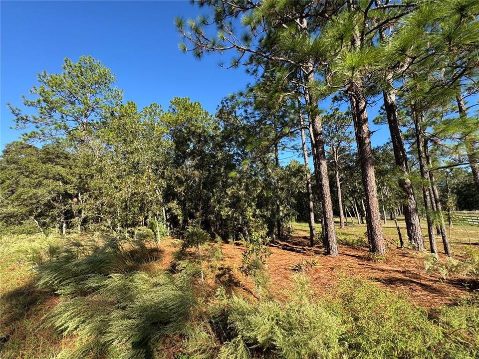 For Sale: $69,900 (1.16 acres)