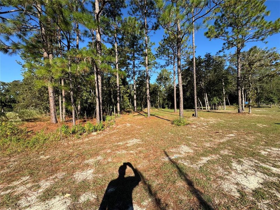 For Sale: $69,900 (1.16 acres)