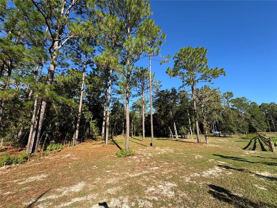 For Sale: $69,900 (1.16 acres)