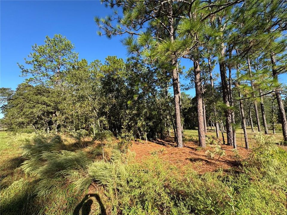 For Sale: $69,900 (1.16 acres)