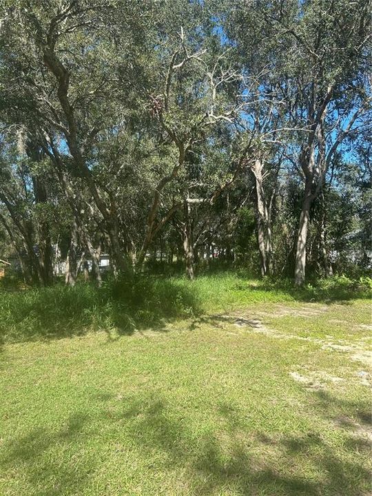 For Sale: $25,000 (0.19 acres)