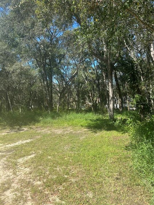 For Sale: $25,000 (0.19 acres)