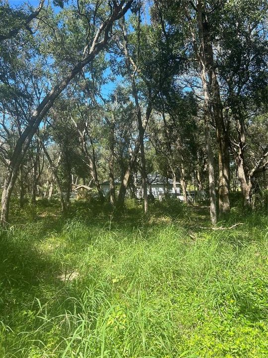 For Sale: $25,000 (0.19 acres)