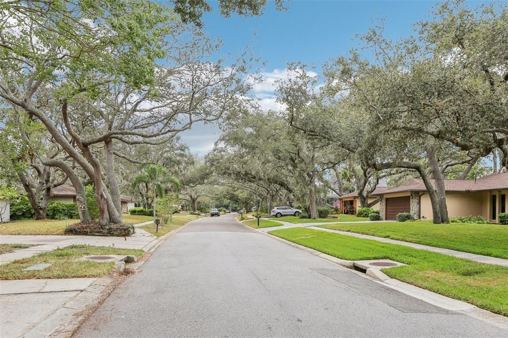 待售: $549,000 (3 贝兹, 2 浴室, 1668 平方英尺)