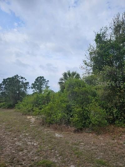 For Sale: $69,000 (1.00 acres)