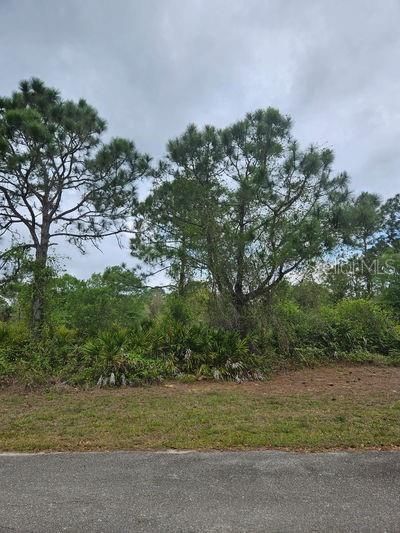 For Sale: $69,000 (1.00 acres)