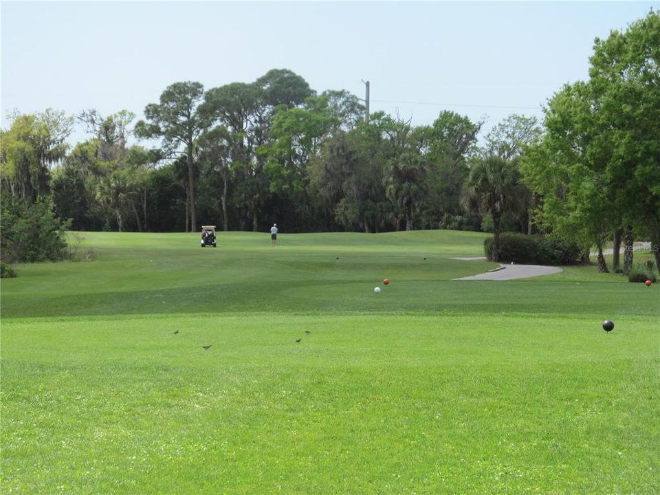 Active With Contract: $379,000 (2 beds, 2 baths, 1555 Square Feet)