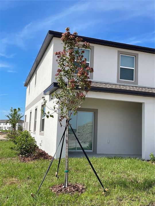 В аренду: $2,100 (2 спален, 2 ванн, 1541 Квадратных фут)