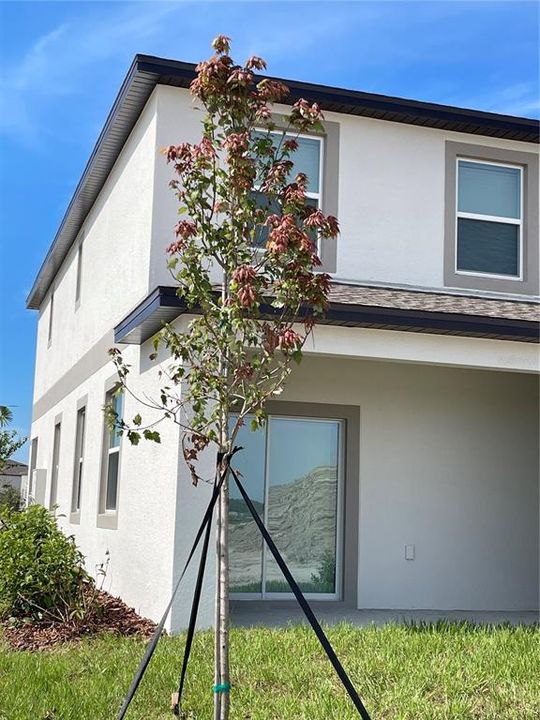 В аренду: $2,100 (2 спален, 2 ванн, 1541 Квадратных фут)