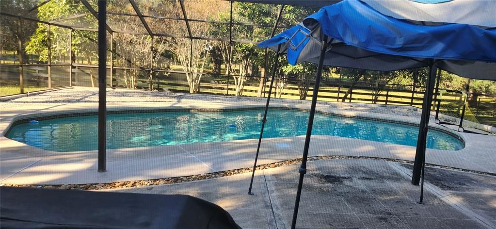 Active With Contract: $3,400 (4 beds, 3 baths, 2313 Square Feet)