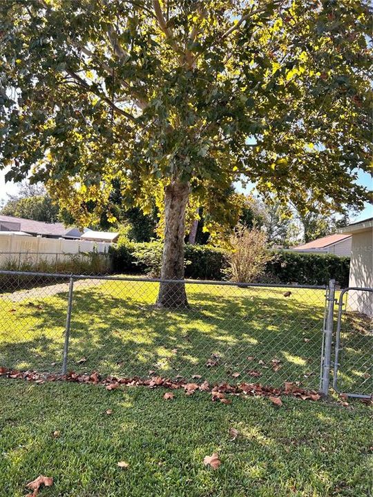 For Rent: $1,900 (3 beds, 2 baths, 1893 Square Feet)