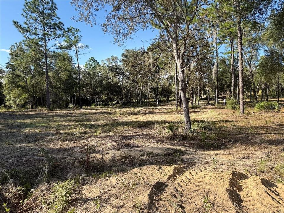 For Sale: $83,000 (3.44 acres)