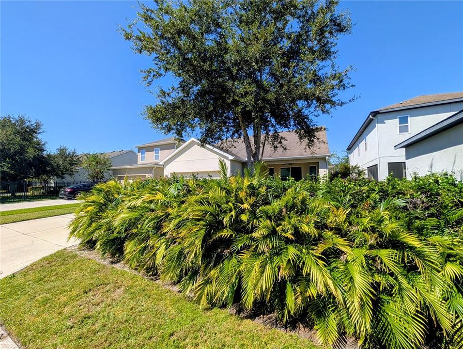 For Sale: $414,999 (3 beds, 2 baths, 2005 Square Feet)