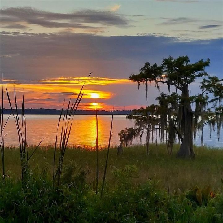 For Sale: $329,900 (2 beds, 2 baths, 1334 Square Feet)