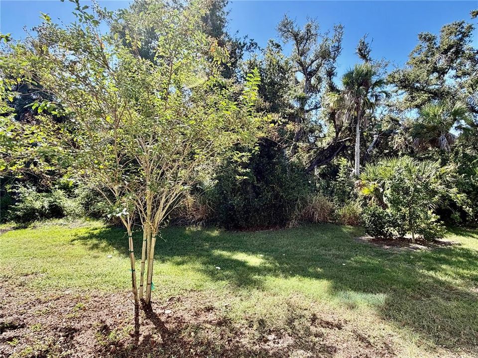 For Sale: $318,000 (3 beds, 2 baths, 1539 Square Feet)