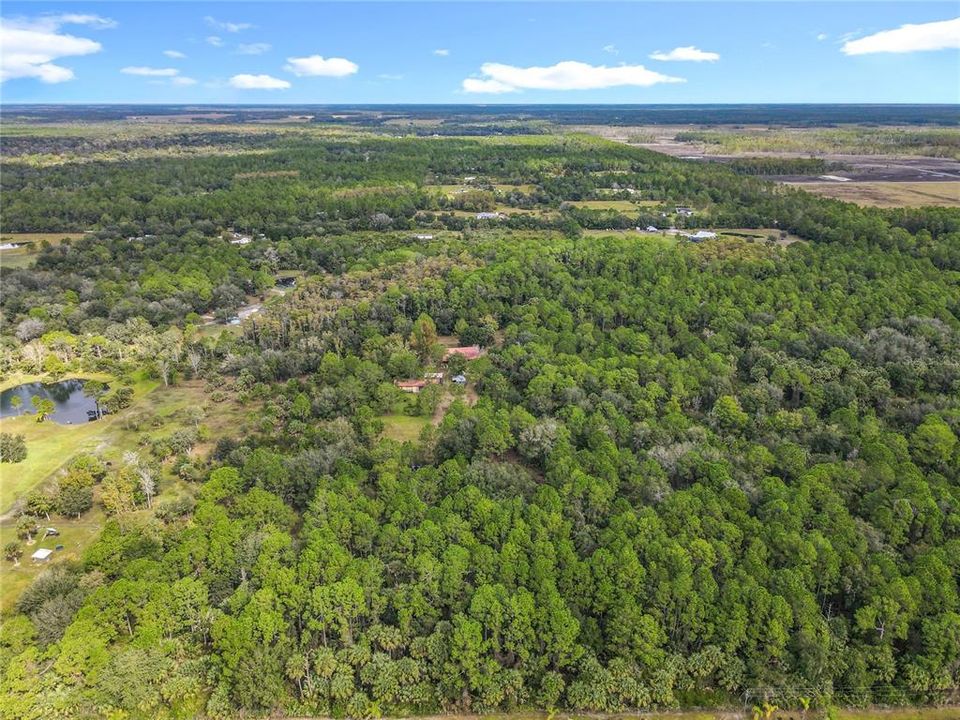 Под контрактом: $485,000 (3 спален, 2 ванн, 1512 Квадратных фут)