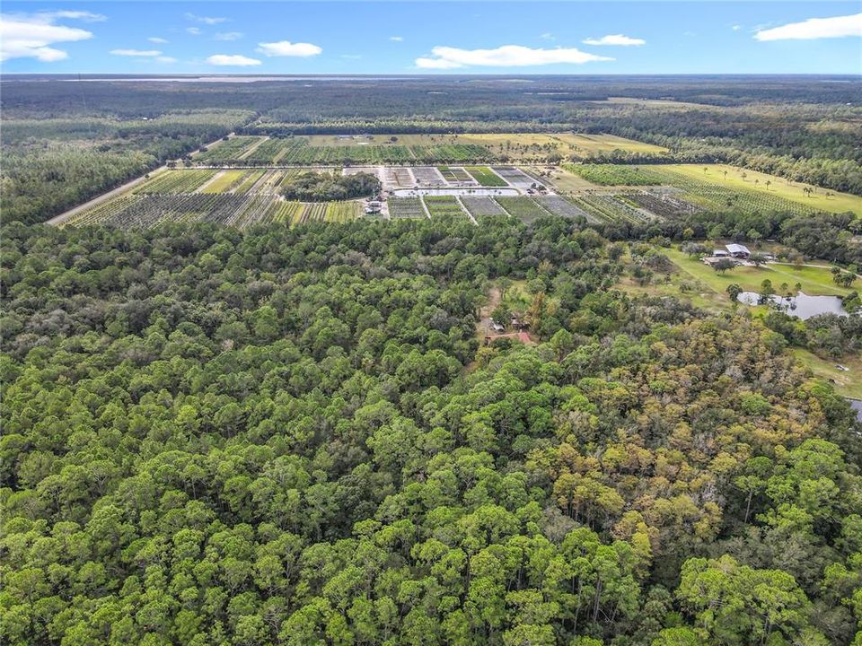 Под контрактом: $485,000 (3 спален, 2 ванн, 1512 Квадратных фут)