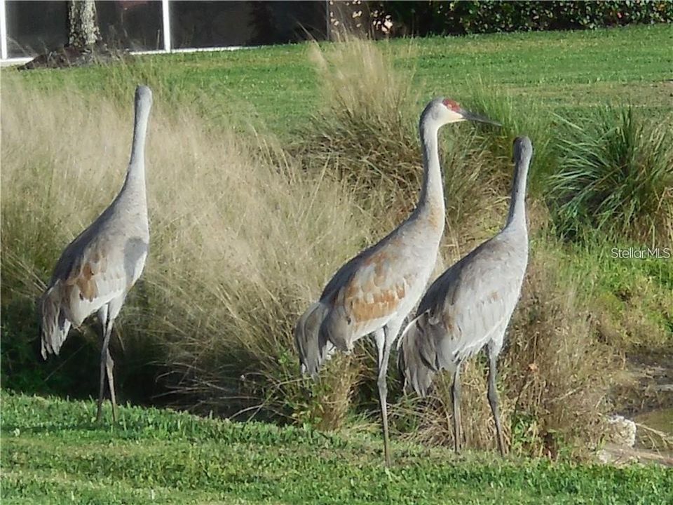 待售: $159,890 (2 贝兹, 2 浴室, 996 平方英尺)