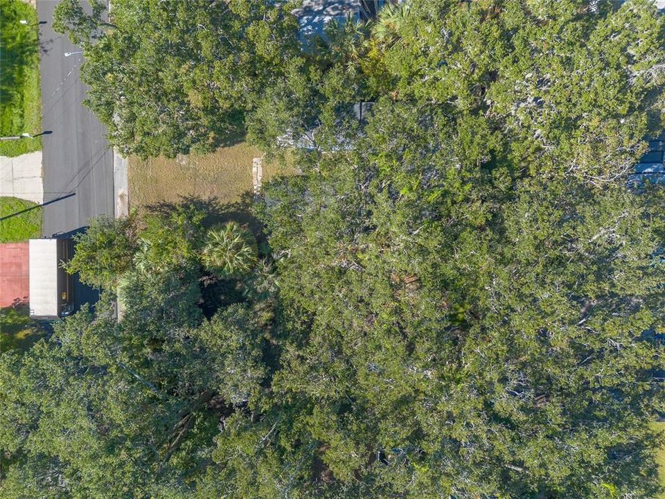 待售: $198,400 (3 贝兹, 1 浴室, 1089 平方英尺)