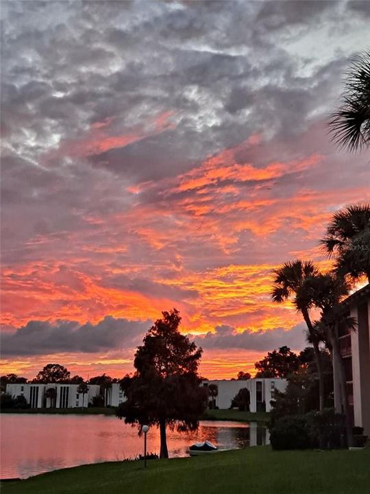 For Sale: $122,900 (1 beds, 1 baths, 633 Square Feet)