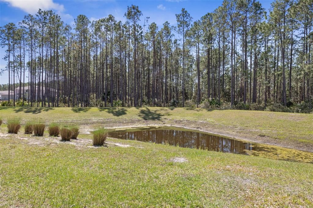 For Sale: $275,000 (3 beds, 2 baths, 1795 Square Feet)